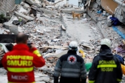 A rescue dog searches for survivors in a collapsed building in Durres, Nov. 28, 2019, after an earthquake shook Albania.