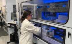 FILE - Scientists and researchers work on a potential vaccine for the coronavirus disease (COVID-19) at a Pfizer's laboratory.