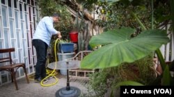 Ammar Othman, an architect by trade, enjoying the garden in front of his new home. He grew jasmine back in his garden back in Syria.