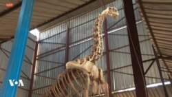 Le Musée Boubou Hama accueille plus de 100 000 visiteurs par an