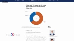 Việt Nam, Trung Quốc tàn phá nhiều rạn san hô nhất ở Biển Đông