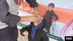 په فراه کې د ۲۰۲۱ کال د نومبر میاشتي د پولیو ضد کمپاین 