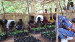 La Banque mondiale soutient le Malawi face aux défis du changement climatique