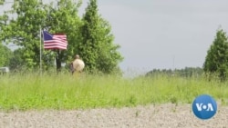 Promoting Peace In A Walk Across America