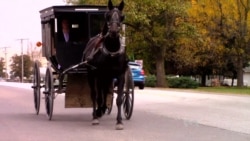 Simple Amish Life has Appeal, Converts