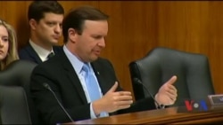 Останні слухання у Сенаті: військова та інша допомога Україні має бути пріоритетом політики США. Відео