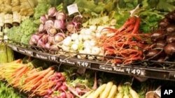 Development Expert Says Africa Can be Food Self-Suffient