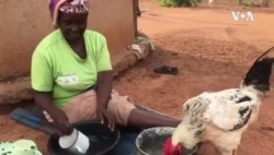 Kulendlala Emangalisayo eZimbabwe