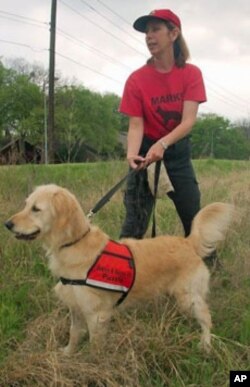 Charleson and Puzzle take to the field.