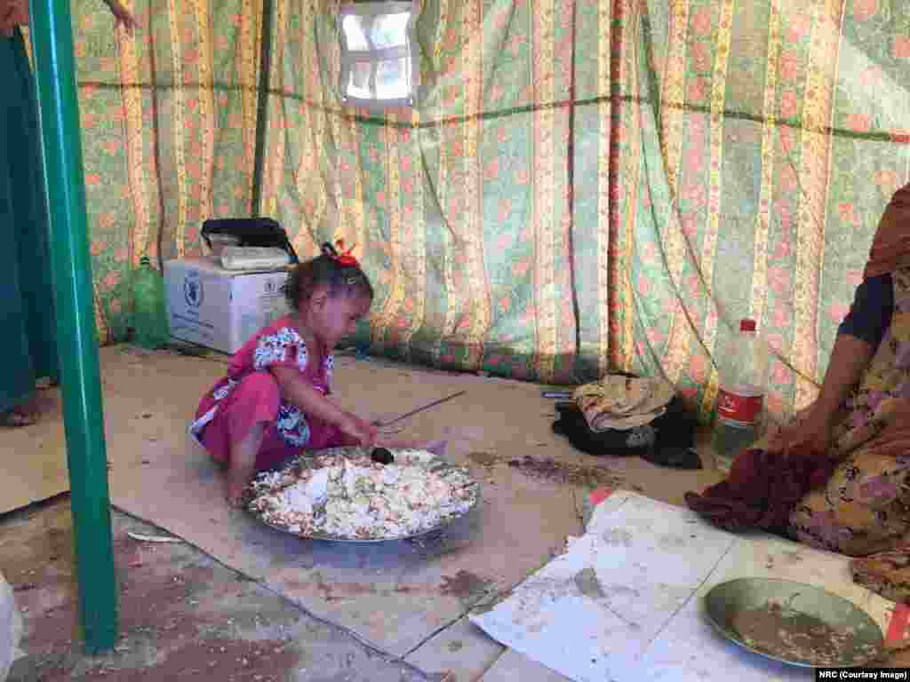 Yasmin is Yousra's sister. &ldquo;She is so tired that she can only cry,&rdquo; says her mother. She arrived with her parents and siblings in Al Fallujah camp in Ameriyat Al Fallujah during the early morning hours. Neighbors had cooked them this food.