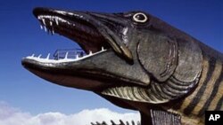 You’ll find this fiberglass muskie - a fierce lake fish - and the less fearsome sunfish outside the National Freshwater Fishing Hall of Fame in Wisconsin.
