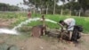 Pond Water Brings Relief to India’s ‘Arsenic Belt’