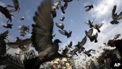 Children play with toy guns during the celebration of the first day of Eid al-Adha in Kabul, Afghanistan, July 20, 2021.