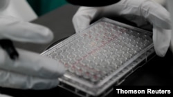 Un científico examina las células infectadas con COVID-19 durante la investigación de una vacuna contra la enfermedad por coronavirus en un laboratorio en San Petersburgo, Rusia.