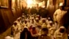 Pilgrims Converge for Bethlehem Christmas