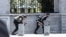 Members of Iranian forces take cover during an attack on the Iranian parliament in central Tehran, Iran, June 7, 2017. 