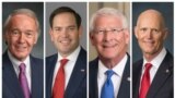 از راست، سناتورها ریک اسکات، راجر ویکر، مارکو روبیو و ادوارد مارکی