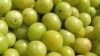 Indian Gooseberry Grows Profits for Farmers