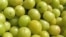Indian Gooseberry Grows Profits for Farmers
