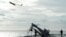 A Scan Eagle unmanned aerial vehicle launches from the flight deck of an amphibious assault ship. (File)