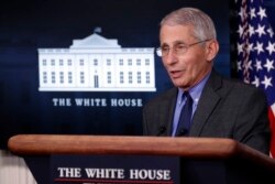 FILE - Dr. Anthony Fauci, director of the National Institute of Allergy and Infectious Diseases, speaks about the coronavirus in the James Brady Press Briefing Room at the White House, April 13, 2020.
