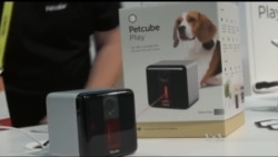 Винахід українців дозволяє власникам домашніх тварин гратися з ними на відстані за допомогою мобільного додатку. Відео