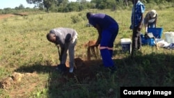 Exhumations des restes des victimes de Gukurahundi en 2019. (Courtesy image)