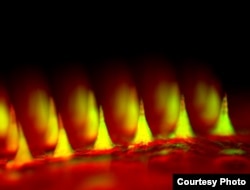An up-close fluorescent image of the microneedle patch with insulin tagged in green. (Credit: Zhen Gu, Ph.D.)