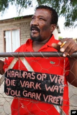 Free State pig farmer Jan Tokkei says he doesn't care about politics, only his animals