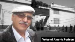 انوشه آشوری، زندانی دوتابعیتی بریتانیایی ایرانی 