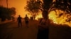 Greece battles wildfires fanned by gale force winds