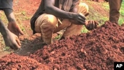 A crew looking for gold sifts through earth and rocks which were hauled up from an informal mine outside Harare