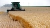 US Farmers Suffer 'Body Blow' as China Slams Door on Farm Purchases