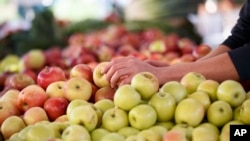 Apples are among the many crops that growers treat with the pesticide chlorpyrifos.