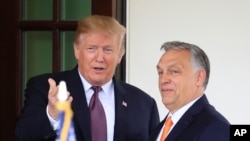 FILE - U.S. President Donald Trump welcomes Hungarian Prime Minister Viktor Orban to the White House in Washington, May 13, 2019.