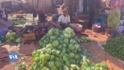 MaliKura ka dɔgɔkun muso dakun na.