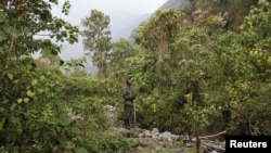 DRC / Virunga National Park