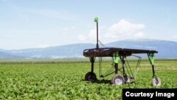 In this file photo, ecoRobotix demonstrates its 'smart farm' technology, which uses artificial intelligence to identify weeds and precisely deliver herbicide to kill them. (ecoRobotix) 