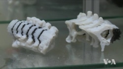 Plastic for 3-D Printers May Become Eco-friendly