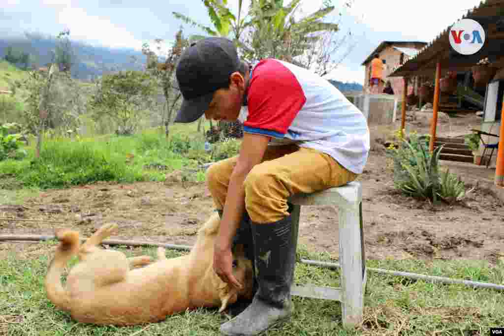 Luna es la mascota y consentida de la casa de la familia Gaona.