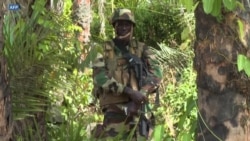 L'armée sénégalaise dit avoir pris des camps de la rébellion casamançaise
