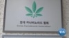 South Korea Takes a Baby Step Toward Medical Cannabis Legalization