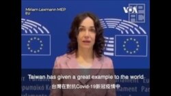 全球数百政要支持台湾参与WHA