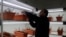 A scientist conducts an experiment related to corm production inside under controlled conditions at Advanced Research Station for Saffron and Seed Spices in Pampore, on the Indian side of Kashmir. (Wasim Nabi for VOA)