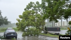 Gusts from Hurricane Ian begin to knock down small trees and palm fronds in a hotel parking lot in Sarasota, Florida, Sept. 28, 2022.
