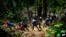 ARCHIVO - El tapón del Darién, la peligrosa selva que atraviesan cientos de migrantes desde Colombia a Panamá.