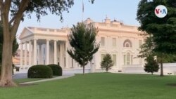 ¿Por qué se reinstaura el programa MPP en la frontera sur de EE.UU.?