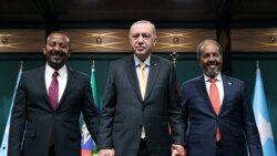 Farafina kelenya tɔn ye "dusu don kosɛbɛ" Ethiopie ni Somalie jamanaw na, u ka bɛnkan kan