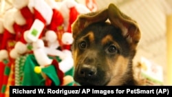 Richard W. Rodriguez/ AP