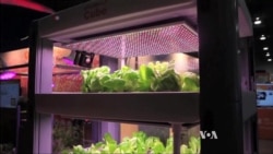 Smartphone Helps Grow Vegetables